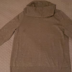 Long sleeve Turtleneck Swetater